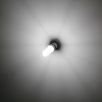Wybór lampy CFL – jako sposób na dobre plony