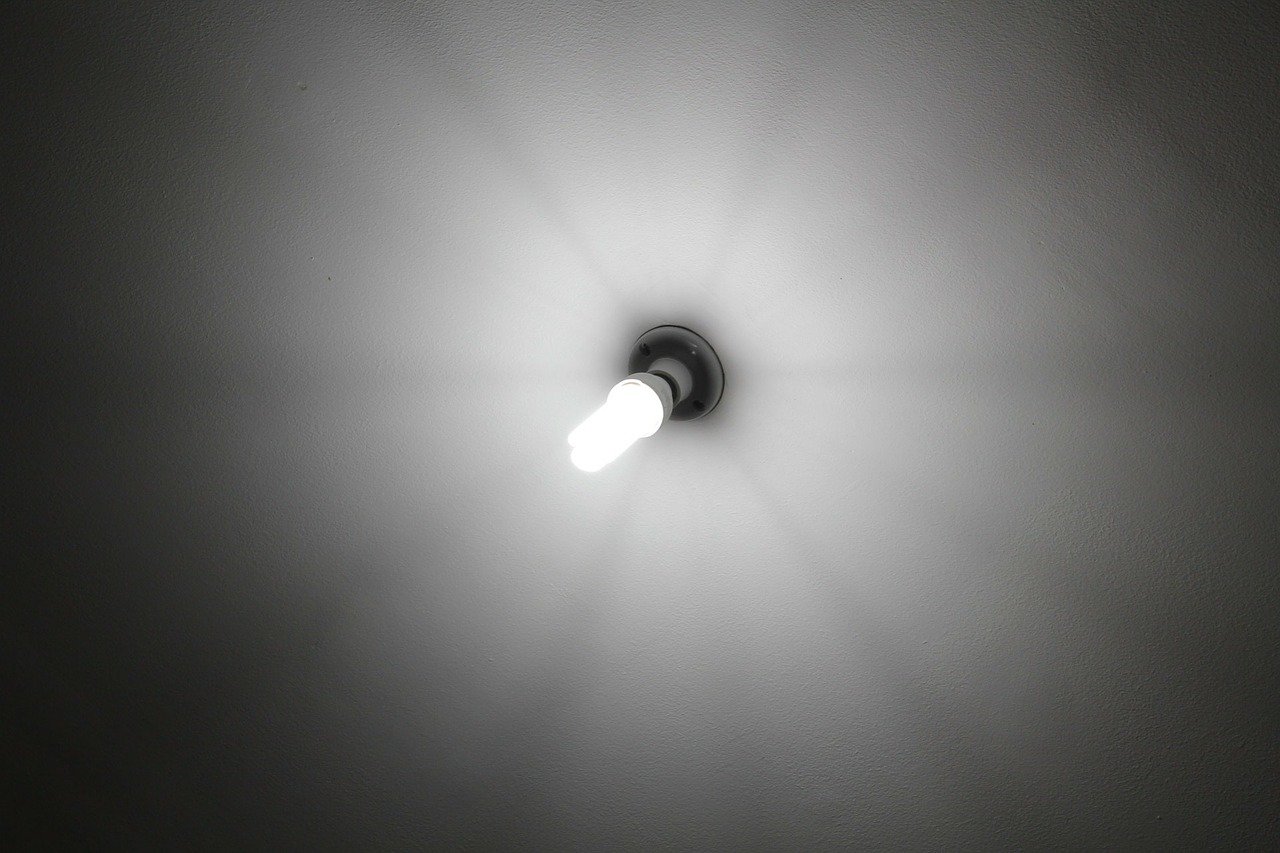 Wybór lampy CFL – jako sposób na dobre plony